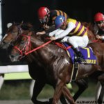 根岸S2019の競馬予想分析!3つのデータから導く危険な人気馬