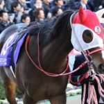 鳴尾記念2019の競馬予想分析!3つのデータから導く危険な人気馬