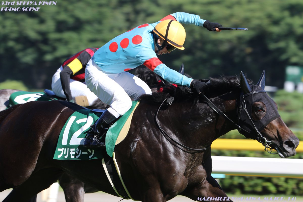 東京新聞杯2020の競馬予想分析！5つのデータから導く勝ち馬候補