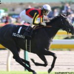 阪神JF2018の競馬予想分析!回収率約150、好走率約5割のファクターを公開