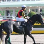 阪神JF2018の競馬予想分析!クロノジェネシスが抱える3つの不安要素とは?