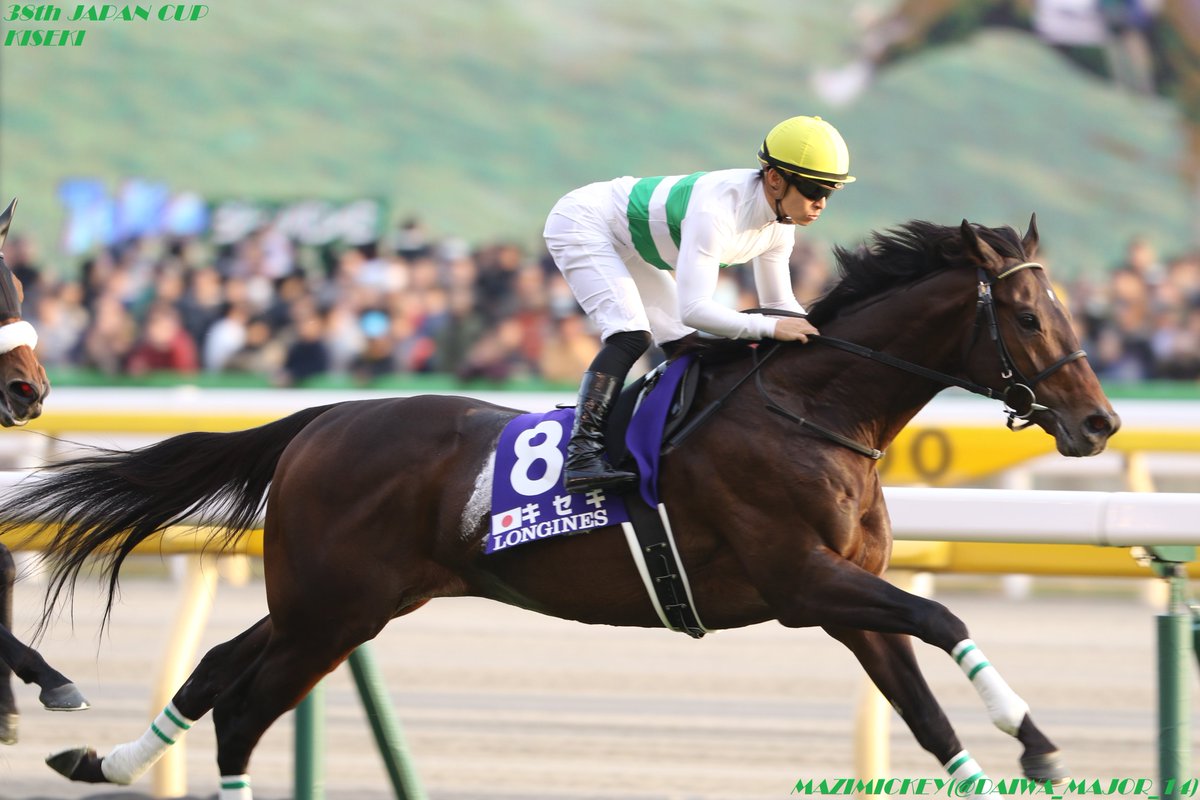 大阪杯2019の競馬予想分析！4つのデータから導く勝ち馬候補