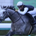 京都金杯2019の最新オッズ!人気・日程・出走時間まとめ/JRA
