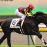 きさらぎ賞2019の予想オッズ・人気と注目の出走予定馬は?JRA重賞展望