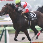 高松宮記念2019の予想オッズ・人気と注目の出走予定馬は?JRA重賞2週前展望