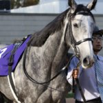 愛知杯2019の最新予想オッズ!日程・出走予定馬と人気の傾向は?/JRA