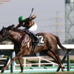 シルクロードS2021の競馬予想分析!3つのデータから導く危険な人気馬