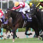 ローズステークス2019の最新予想オッズ!日程・出走予定馬と人気の傾向は?/JRA