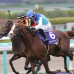 共同通信杯2019の最新予想オッズ!日程・出走予定馬と人気の傾向は?/JRA