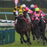 阪急杯2019の競馬予想分析!5つのデータから導く勝ち馬候補