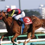 エリザベス女王杯2020の競馬予想分析!3つのデータから導く危険な人気馬