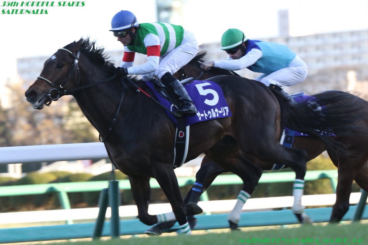 神戸新聞杯2019の競馬予想分析！3つのデータから導く勝ち馬候補