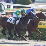 ユニコーンステークス2019の競馬予想分析!3つのデータから導く穴馬候補