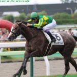 大阪杯18の競馬予想分析 ダンビュライトの優勝への好材料と不安