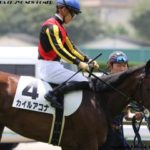 小倉2歳S2019の競馬予想分析!3つのデータから導く危険な人気馬