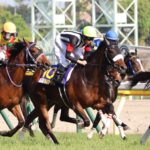 オールカマー2020の競馬予想分析!3つのデータから導く危険な人気馬
