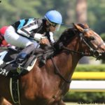 ファンタジーステークス2019の競馬予想分析!3つのデータから導く勝ち馬候補