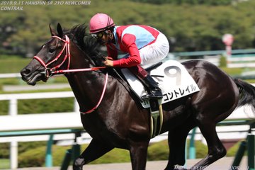 東京スポーツ杯2歳S2019の競馬予想分析！4つのデータから導く勝ち馬候補