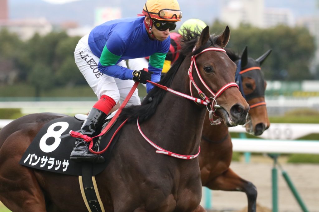 ラジオnikkei賞の競馬予想分析 3つのデータから導く危険な人気馬