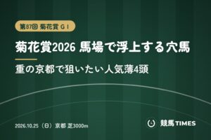菊花賞2026 馬場で浮上する穴馬